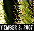 September 3, 2007