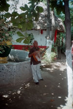 Bola De Oro