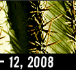 October 12, 2008