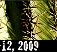 October 12, 2008