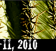 11, 2010