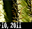  thru October 10th, 2010